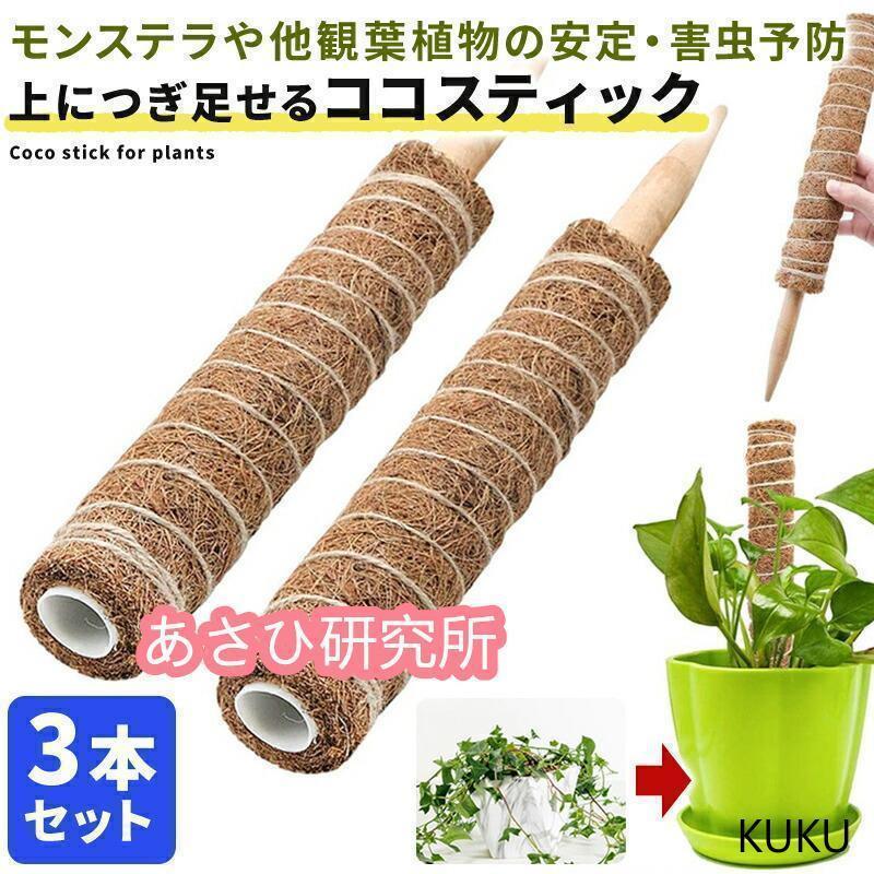 ココスティック 3本セット モンステラ 支柱 観葉植物 おしゃれ プランター 植木鉢 植物 園芸支柱 観葉..