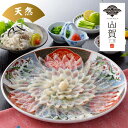 天然とらふぐ 刺身 皮刺しと 薬味がセット 4人〜5人 本場下関 山賀 ギフト 父の日 母の日 御中元 産地直送 M25-1