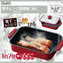 電子レンジ調理器 焼き魚 焼く グリル 食洗機対応不可 目玉焼き 魚焼き器 電子レンジ ヒロコーポレーション 食洗器対応不可 HTO-8957 電子レンジ専用調...