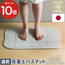 バスマット アクア 珪藻土 【ポイント10倍 送料無料】日本製 soil 足拭き アスベスト未使用 ソイル イスルギ 珪藻土バスマット おしゃれ 人気 かわいい 北欧 滑りにくい 人気 湿気 快適 国産 速乾 吸収 ノンアスベスト ギフト プレゼント soil BATH MAT aqua