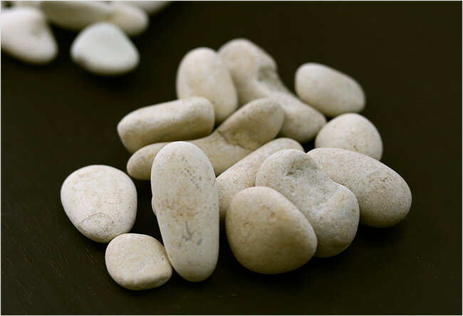 �������ȥ�å� �ʥ����륹�ȡ����S�˥ۥ磻�� �� ������ ������ ���տ�ʪ �ޥ���� ������ �������� ���� �Х� ���� ���� �� ���� ���տ�ʪ �ڱ��� �ۡԥ᡼�����б��ġ�