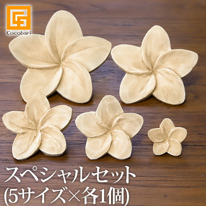 フランジパニ ウッドフラワー(ナチュラル)スペシャルセット(5サイズ×各1個) 【 アロマウッド かわいい アジアン雑貨 プルメリア アロマ 玄関 洗面所 トイ...