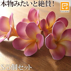 https://thumbnail.image.rakuten.co.jp/@0_mall/cocobari/cabinet/products/ctop/fl0014.jpg