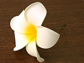 プルメリアの造花 特大15cm リアル (枝付...の紹介画像2