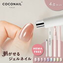 マグネットネイル★4点セット HEMAフリー マグネットジェルネイル セット はがせるスティック キット エメリーボード パレット カラージェル セルフネイルピールオフ オールインワン ネイリスト監修 母の日 プレセント