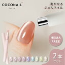 新発売★シルキーマグ 2本セット HEMAフリー はがせる マグネットネイル セルフ ジェルネイルシール ピールオフ 剥がせる 簡単 初心者 キット セット ペン 筆 スティック ネイリスト監修 母の日 プレセント