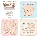 いしよわちゃん ミニタオル 3枚組 ハンドタオル ハンカチ 小学校 幼稚園 保育園 入学 入園 新学期 プレゼント お祝い お出かけ 散歩 遠足 こどもサイズ ...