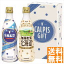 送料無料 カルピスギフト CN10P 全国送料無料 ギフト 早割 お中元 お歳暮 御見舞 お見舞い お取り寄せ グルメスイーツ