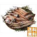 送料無料 山陰海鮮一夜干しセット 全国送料無料 ギフト 早割 お中元 お歳暮 御見舞 お見舞い お取り寄せ グルメスイーツ