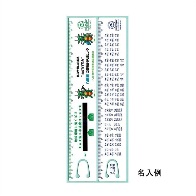 エコ・省エネサーモ直定規・両面20cm 景品 販促品 粗品 プレゼント 記念品 来場記念 ギフト 内祝い