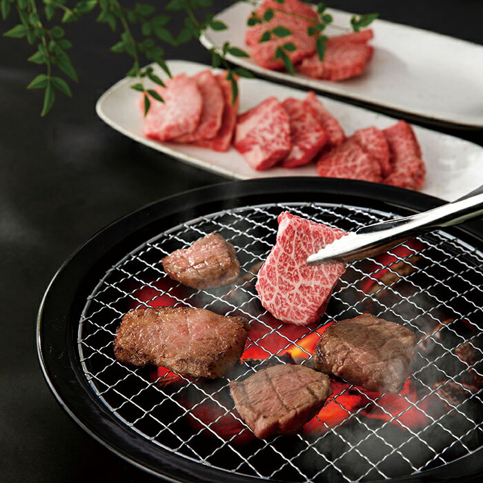 松阪牛 希少部位焼肉セット 三角バラ＆トウガラシ(約500g) 内祝 内祝い お祝 御祝 記念品 出産内祝い プレゼント 快気祝い 粗供養 引出物