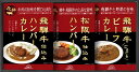 飛騨高山ファクトリー 松阪牛・飛騨牛仕込み ハンバーグ&カレー詰合せ HBK-22 内祝 内祝い お祝 御祝 記念品 出産内祝い プレゼント 快気祝い 粗供養 ...