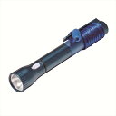 マルチLEDライト L2811 粗品 景品 記念品 来場記念 来店促進 ノベルティ プチギフト