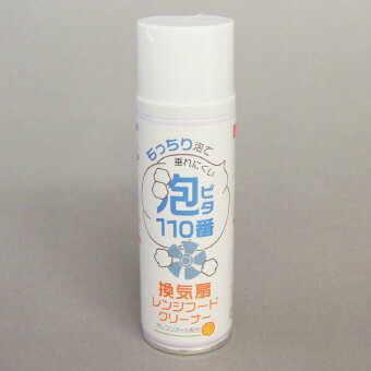 �������󥸥ա��ɥ��꡼�ʡ�ˢ�ԥ�110�� ���ꥹ�ޥ� ���� ���� ǯ��ǯ�� ��¥�� ���� �޽�