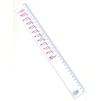 ľ구30cm Ĥ ECN-3010 ꥹޥ   ǯǯ ¥  ޽