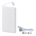 モバイルバッテリー5000mAh (iPhone用アダプター内蔵 USBType-C アダプター付) 6189-23 景品 記念品 粗品 ノベルティ 名入れ 御...