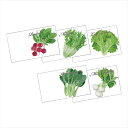 野菜の種子(横型) 指定不可 景品 記念品 粗品 ノベルティ 名入れ 御挨拶 ご挨拶