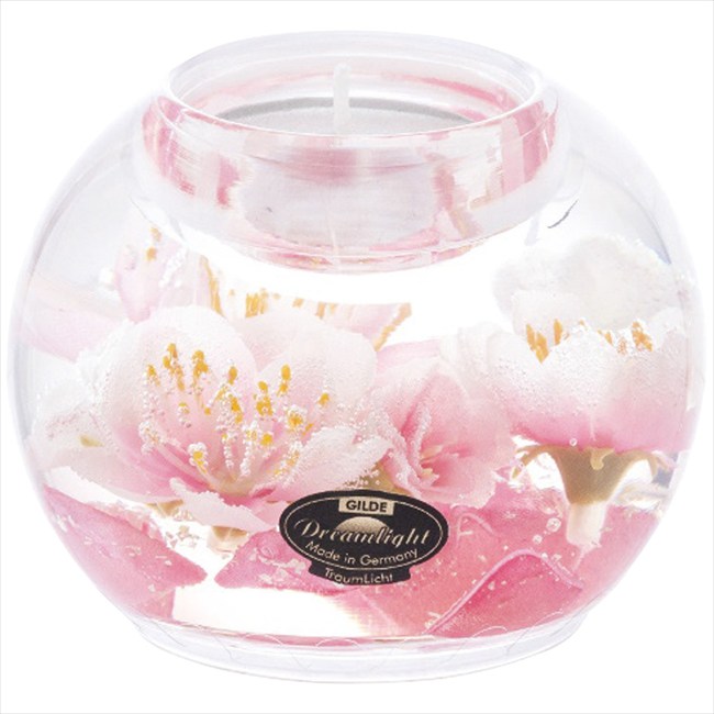 �ɥ꡼��饤�� �����ɥ�ۥ���� �ޡ�����꡼ CDD19121��Ȭ�š� ��� ��ˤ� ���� ��� ��ǰ�� �л���ˤ� �ץ쥼��� �����ˤ� �ƶ��� ����ʪ