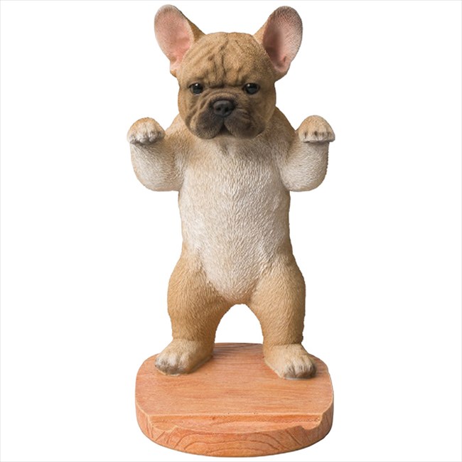 �٥ˡ��� ���˥ޥ륹����� QY-244B�ʥե����֥�� ��� ��ˤ� ���� ��� ��ǰ�� �л���ˤ� �ץ쥼��� �����ˤ� �ƶ��� ����ʪ