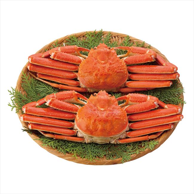 ボイルずわいがに姿2尾 400×2 内祝 内祝い お祝 御祝 記念品 出産内祝い プレゼント 快気祝い 粗供養 引出物