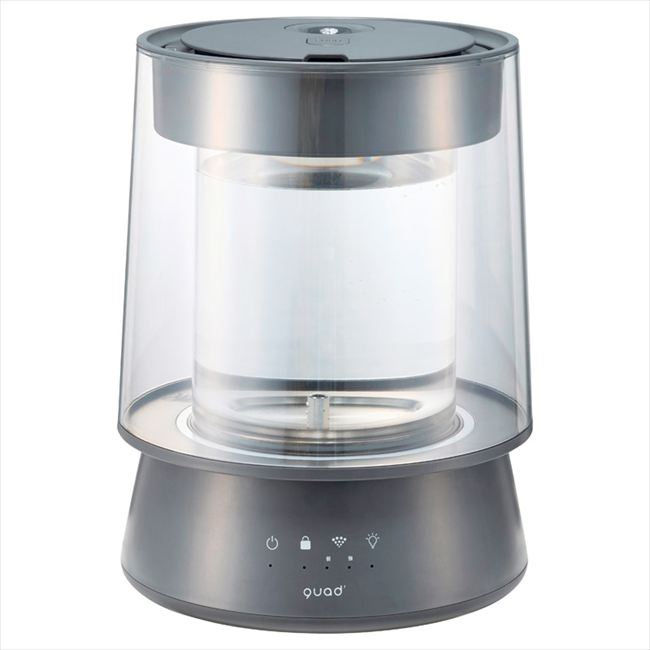 QUADS ���饹��������ü��� ���饹 ���졼 QS549GY ��� ��ˤ� ���� ��� ��ǰ�� �л���ˤ� �ץ쥼��� �����ˤ� �ƶ��� ����ʪ