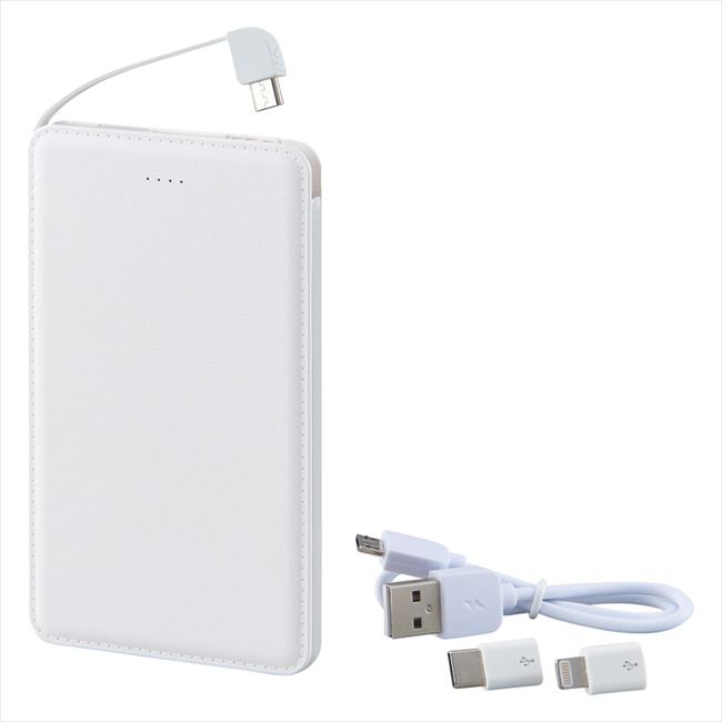 モバイルバッテリー5000mAh 6189-23 内祝 内祝い お祝 御祝 記念品 出産内祝い プレゼント 快気祝い 粗供養 引出物