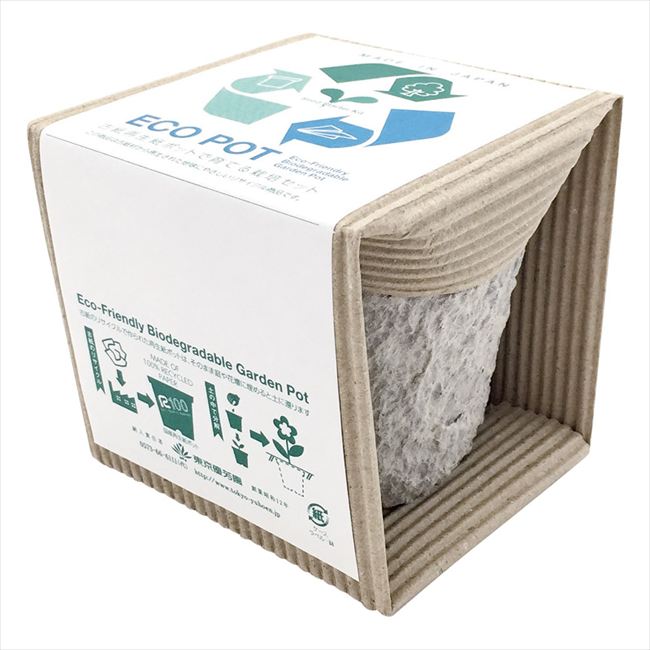 ECOポットM 花の種子（1P） 内祝 内祝い お祝 御祝 記念品 出産内祝い プレゼント 快気祝い 粗供養 引出物