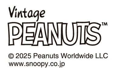 PEANUTS　染付　角皿5枚組 SN80-57 ギフト 内祝い 御祝 御礼 記念品 引出物 結婚式 プレゼント 出産内祝い 結婚お祝い
