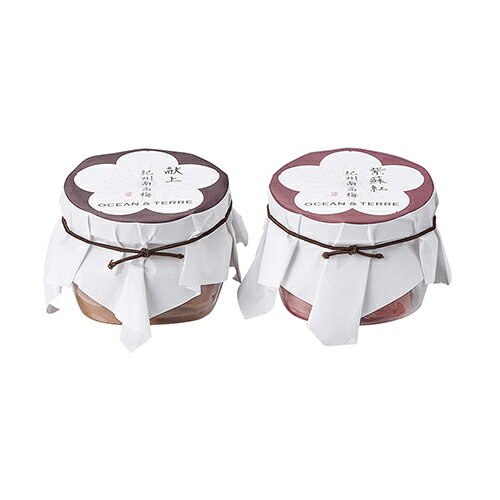 Premium 紀州南高梅セットA ブライダル 記念品 引き出物 内祝い 内祝 プチギフト 縁起物 お祝い 御祝 快気祝い