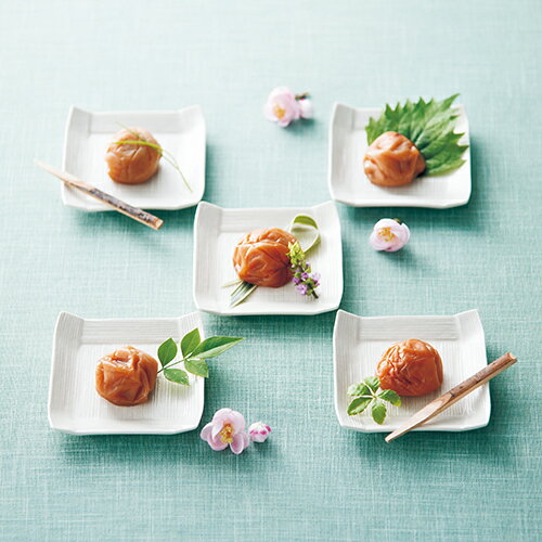 紀州南高梅 6粒木箱入 ブライダル 記念品 引き出物 内祝い 内祝 プチギフト 縁起物 お祝い 御祝 快気祝い