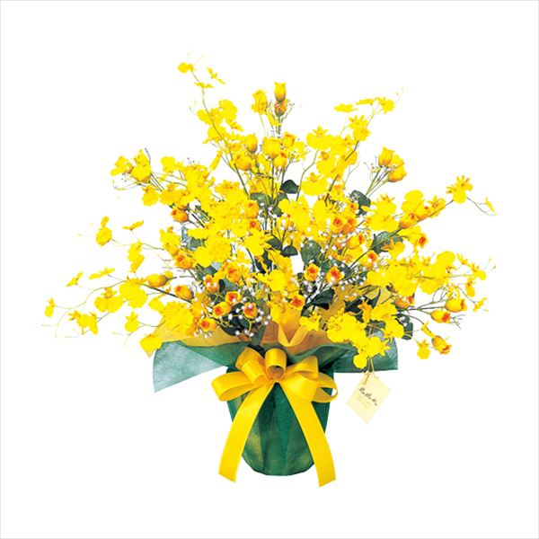 光の楽園 ゴールドストライク 43P80 内祝 内祝い お祝 御祝 記念品 出産内祝い プレゼント 快気祝い 粗供養 引出物