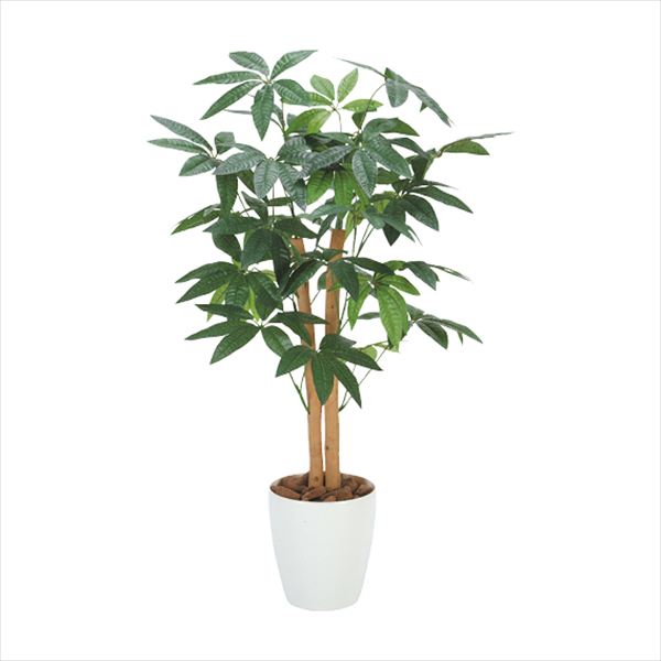 光の楽園 パキラ90 209P125 内祝 内祝い お祝 御祝 記念品 出産内祝い プレゼント 快気祝い 粗供養 引出物