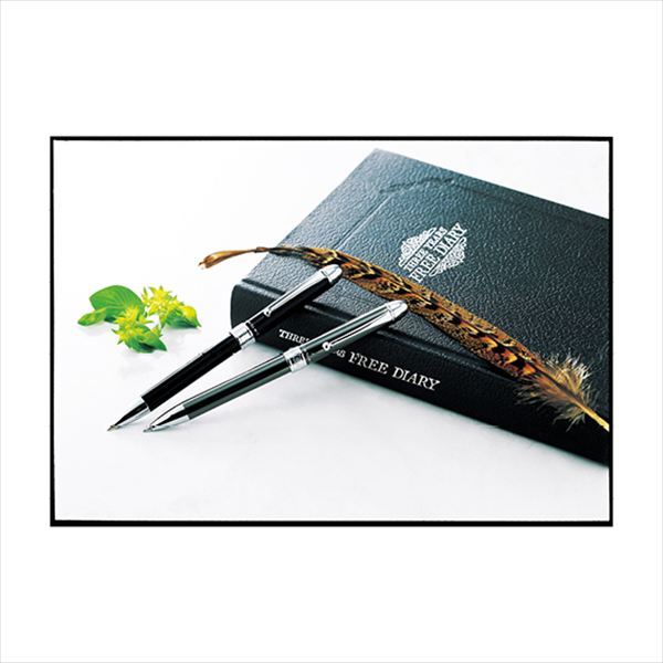 プラチナ 複合筆記具（SP&BP黒・赤） ブラック MWB1000CD 内祝 内祝い お祝 御祝 記念品 出産内祝い プレゼント 快気祝い 粗供養 引出物