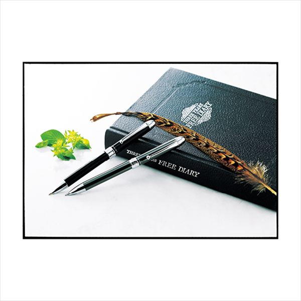 プラチナ 複合筆記具（SP&BP黒・赤） ガンメタル MWB1000CGM 内祝 内祝い お祝 御祝 記念品 出産内祝い プレゼント 快気祝い 粗供養 引出物