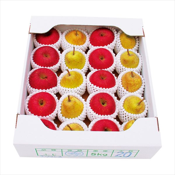 山形産 ラ・フランス&ふじりんご 5kg LA-108G 内祝 内祝い お祝 御祝 記念品 出産内祝い プレゼント 快気祝い 粗供養 引出物