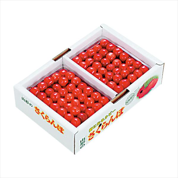 佐藤錦 山形産 さくらんぼ 手詰め SN-208G 内祝 内祝い お祝 御祝 記念品 出産内祝い プレゼント 快気祝い 粗供養 引出物