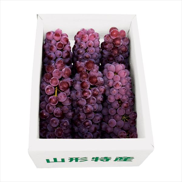 山形産 デラウエアー 1kg DR-58G 内祝 内祝い お祝 御祝 記念品 出産内祝い プレゼント 快気祝い 粗供養 引出物