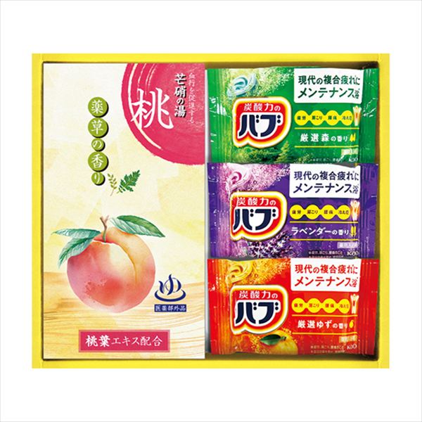 炭酸力の薬用入浴剤セット BB10 内祝 内祝い お祝 御祝 記念品 出産内祝い プレゼント 快気祝い 粗供養 引出物