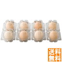 送料無料 北坂たまご 北坂たまご たまごまるごとプリン ※(注)沖縄・離島は配達不可 全国送料無料 お中元 ギフト 早割 お中元 2025 御見舞 お見舞い お取り寄せ グルメスイーツ