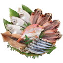 送料無料 海匠國近 海匠國近 魚急便 ※(注)沖縄・離島は配達不可 全国送料無料 お中元 ギフト 早割 お中元 2025 御見舞 お見舞い お取り寄せ グルメス...