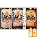 送料無料 プリマハム 匠伝説ギフトセット TL-524 ※(注)沖縄・離島は配達不可 全国送料無料 お中元 ギフト 早割 お中元 2025 御見舞 お見舞い お...