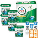 送料無料 P&G アリエールジェルボール部屋干しギフトセット PGJH-50E ※(注)沖縄・離島は配達不可 全国送料無料 お中元 ギフト 早割 お中元 202...