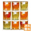 送料無料 涼の雫9個 ※(注)沖縄・離島は配達不可 全国送料無料 お中元 ギフト 早割 お中元 2025 御見舞 お見舞い お取り寄せ グルメスイーツ