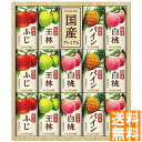 送料無料 カゴメ 国産プレミアムフルーツジュースギフト(紙容器) KT-30K ※(注)沖縄・離島は配達不可 全国送料無料 お中元 ギフト 早割 お中元 2025 御見舞 お見舞い お取り寄せ グルメスイーツ