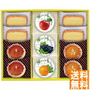 送料無料 井桁堂 ジュレ&ガトー 11個入 JG11 ※(注)沖縄・離島は配達不可 全国送料無料 お中元 ギフト 早割 お中元 2025 御見舞 お見舞い お取り寄せ グルメスイーツ