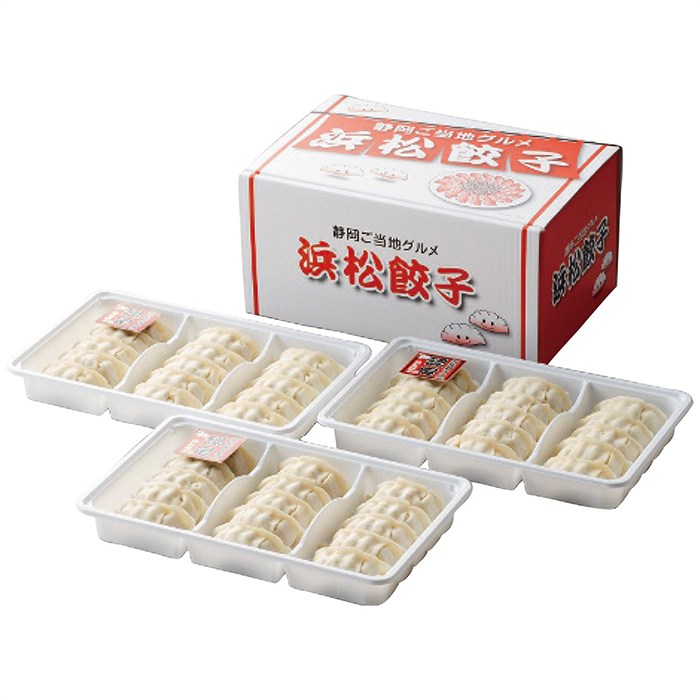 送料無料 浜松餃子 浜松餃子 ※(注)沖縄・離島は配達不可 全国送料無料 お歳暮 ギフト 早割 御歳暮 2025 御見舞 お見舞い お取り寄せ グルメスイーツ