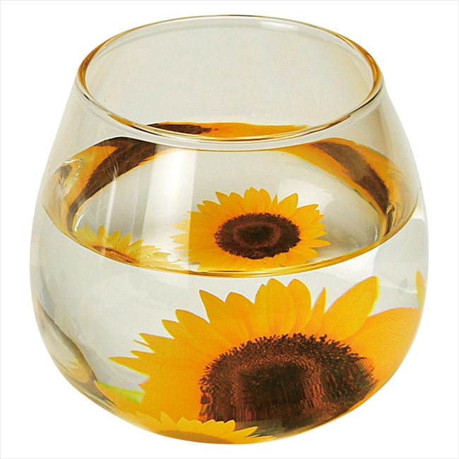 �ե����� ���ꥰ�饹 �Ҥޤ�� FY-1051A/B/C ��� ��ˤ� ���� ��� ��ǰ�� �л���ˤ� �ץ쥼��� �����ˤ� �ƶ��� ����ʪ