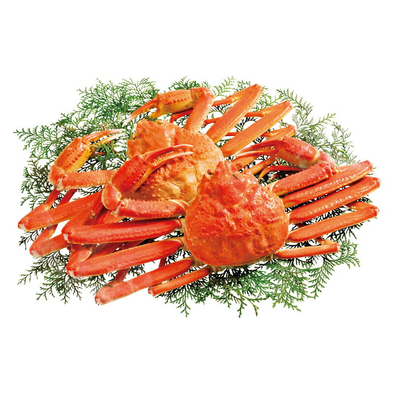 ���襤��2�� KMJ2605 ��� ��ˤ� ���� ��� ��ǰ�� �л���ˤ� �ץ쥼��� �����ˤ� �ƶ��� ����ʪ