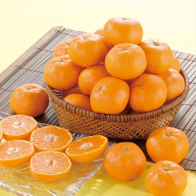 0 三ヶ日みかん青島　 0 内祝 内祝い お祝 御祝 記念品 出産内祝い プレゼント 快...