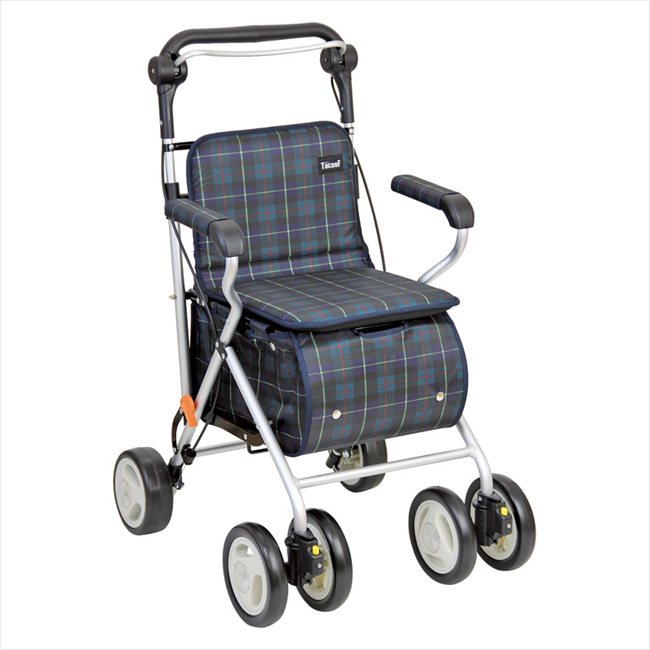 ƥ  SIST01-GR  ˤ   ǰ лˤ ץ쥼 ˤ ƶ ʪ